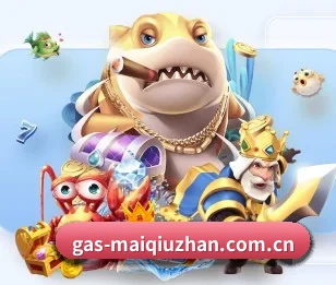 买球站的故事